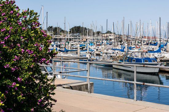 Monterey Municipal Wharf 2